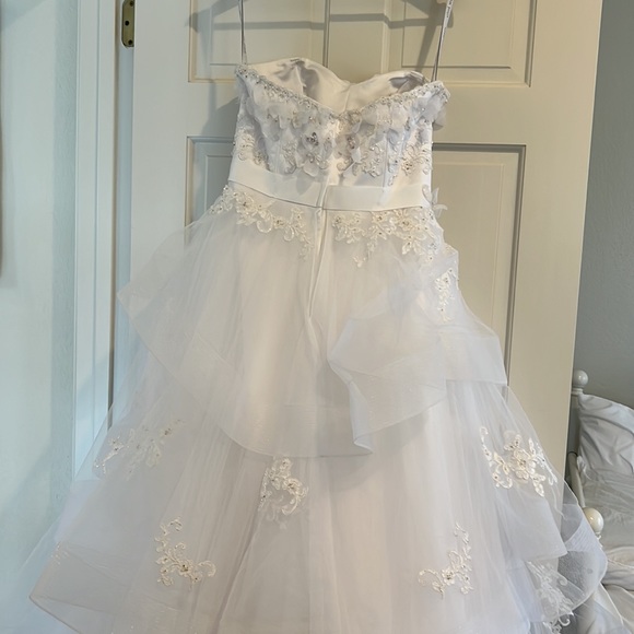 Never Worn Wedding Dress - Picture 6 of 8